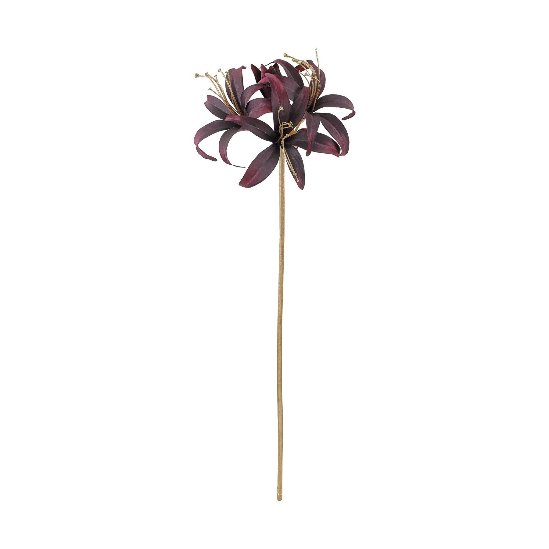 Hippeastrum Spray - Dark Purple - 80cm