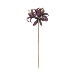 Hippeastrum Spray - Dark Purple - 80cm