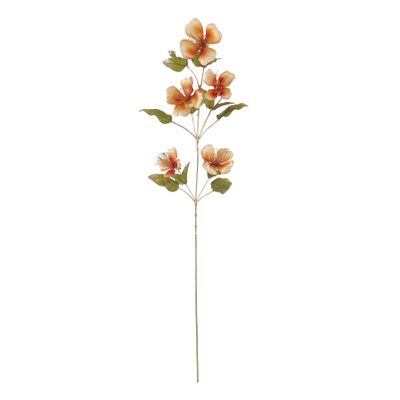 Caper Flower - Orange - 109cm