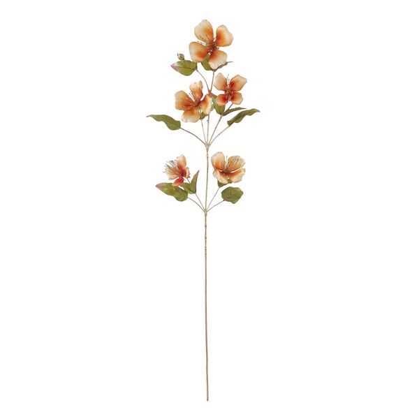 Caper Flower - Orange - 109cm