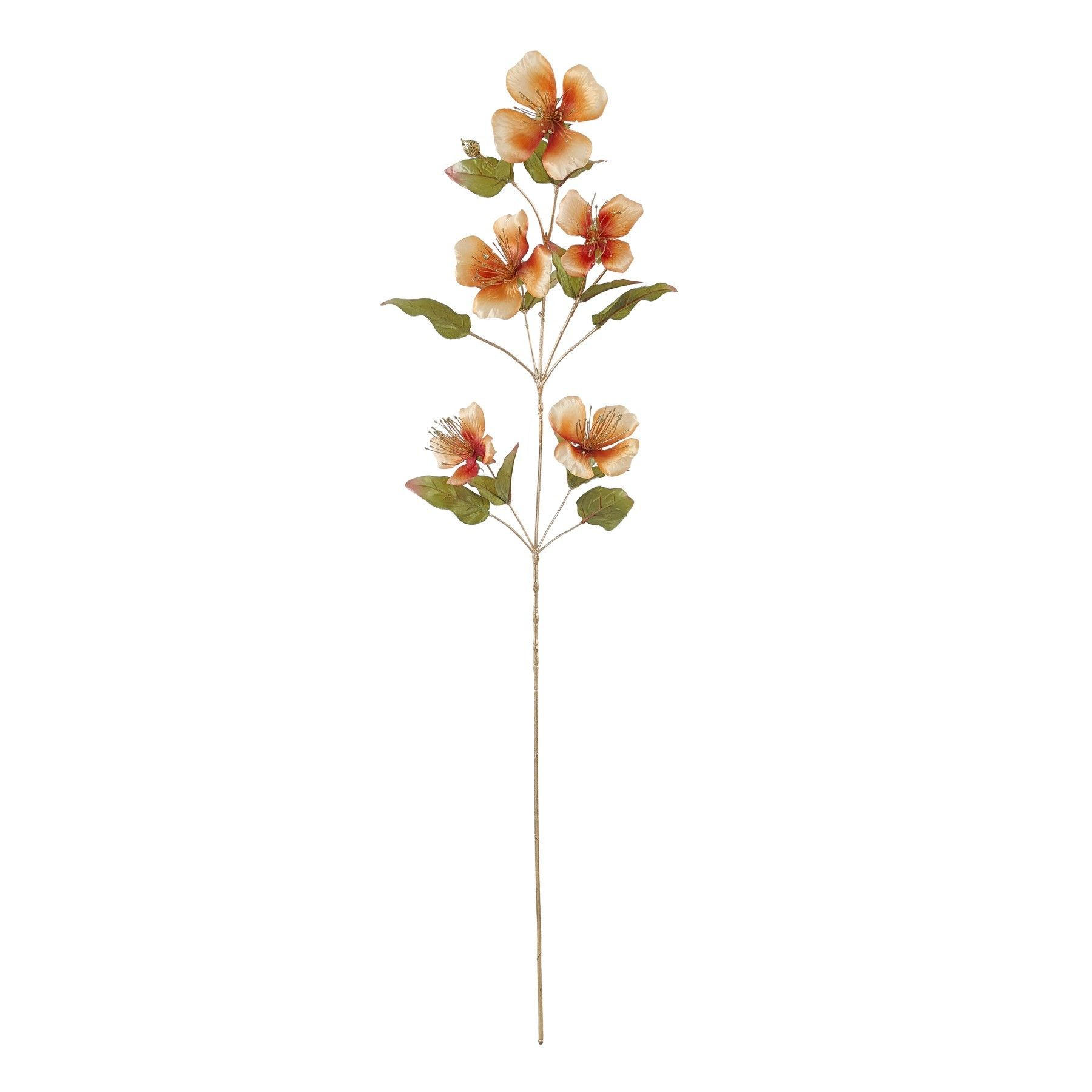 Caper Flower - Orange - 109cm