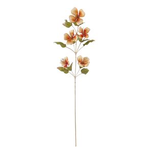Caper Flower - Orange - 109cm