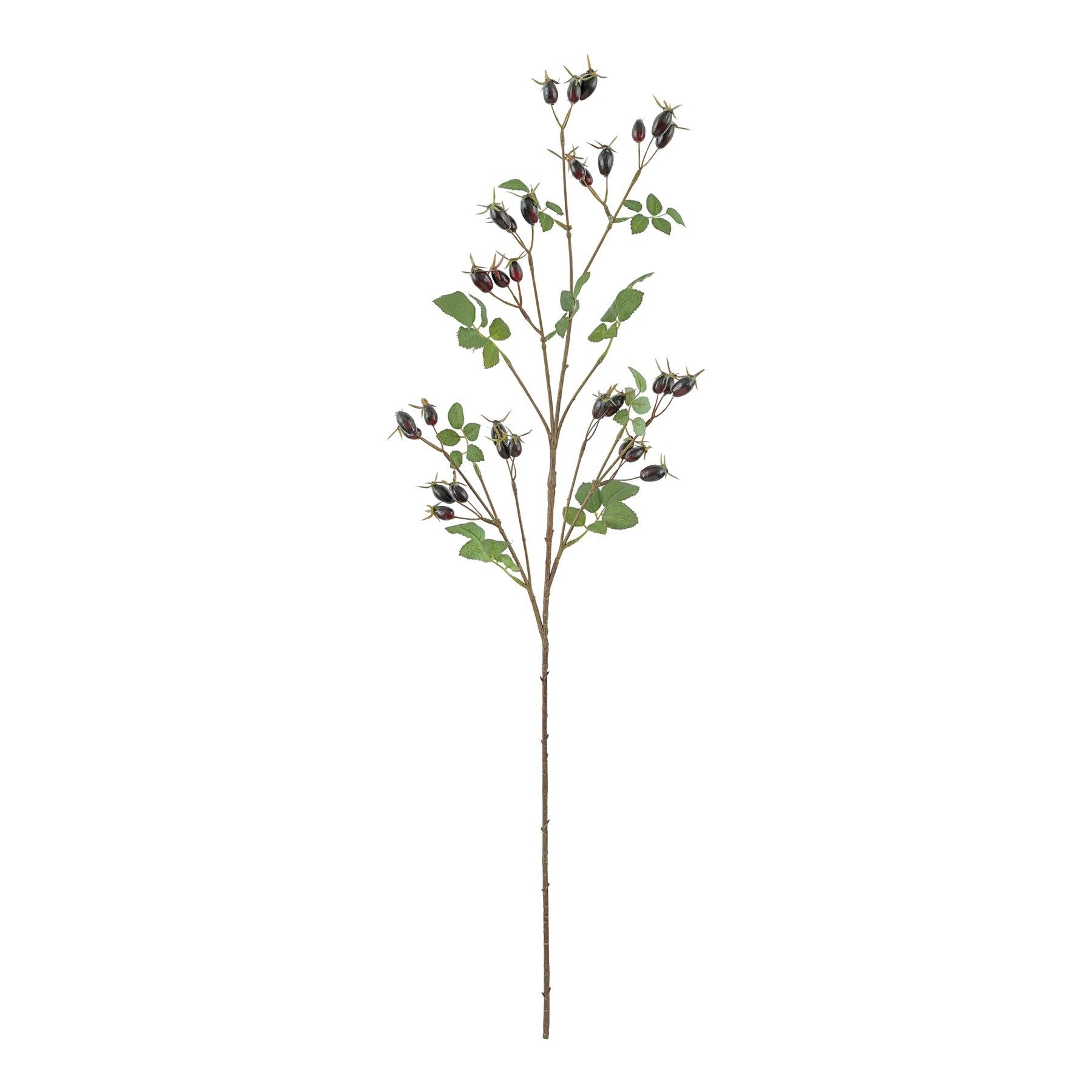 Rose Hip Spray - Dark Purple - 95cm