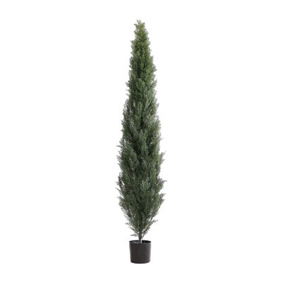 Cypress Topiary U.V F.R - 180cm