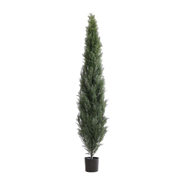 Cypress Topiary U.V F.R - 180cm