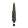 Cypress Topiary U.V F.R - 180cm