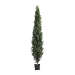 Cypress Topiary U.V F.R - 180cm