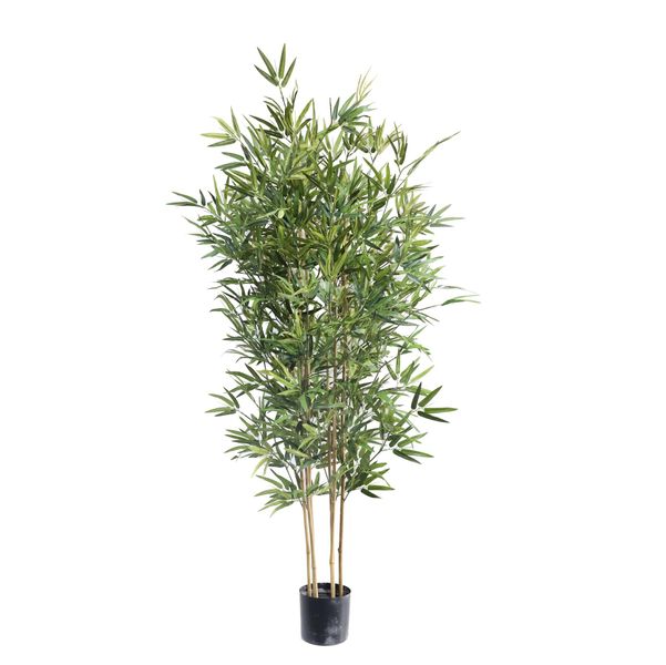 Bamboo Tree U.V F.R - 210cm