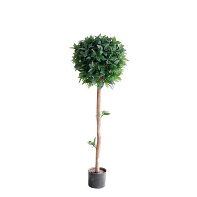 Laurel Bay Topiary U.V F.R - 120cm