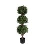 Boxwood Topiary Triple Ball U.V F.R - 145cm