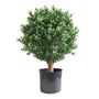 Boxwood Topiary Ball U.V F.R - 50cm