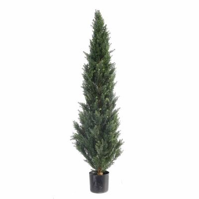 Cypress Topiary U.V F.R - 150cm