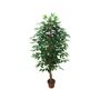 Ficus Tree U.V F.R - 145cm