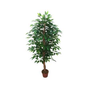 Ficus Tree U.V F.R - 145cm