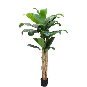 Banana Tree U.V F.R - 250cm