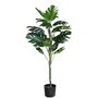 Monstera U.V F.R - 130cm