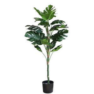 Monstera U.V F.R - 130cm