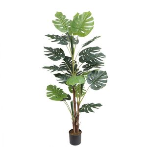 Monstera U.V F.R - 165cm