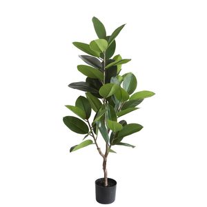 Rubber Plant U.V.F.R - 130cm