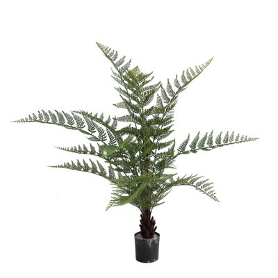 Fern Dicksonia U.V F.R - 90cm