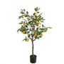 Lemon Tree U.V F.R - 120cm