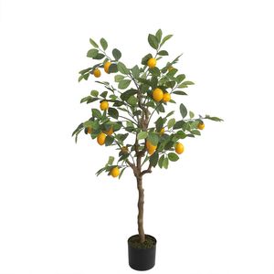 Lemon Tree U.V F.R - 120cm