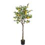 Lemon Tree U.V F.R - 150cm