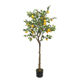 Lemon Tree U.V F.R - 150cm