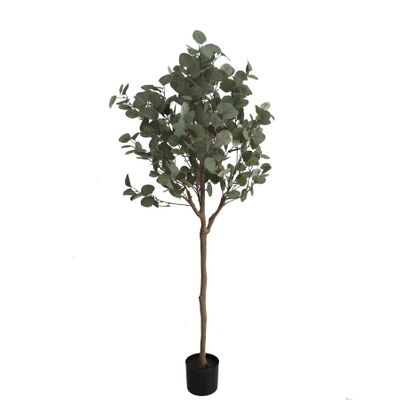 Eucalyptus Tree U.V F.R - 150cm