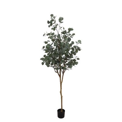 Eucalyptus Tree U.V F.R - 185cm