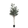 Eucalyptus Tree U.V F.R - 185cm