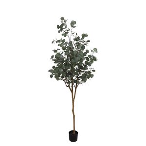 Eucalyptus Tree U.V F.R - 185cm