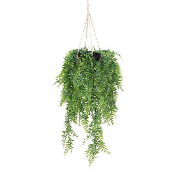 Hanging Plant U.V F.R