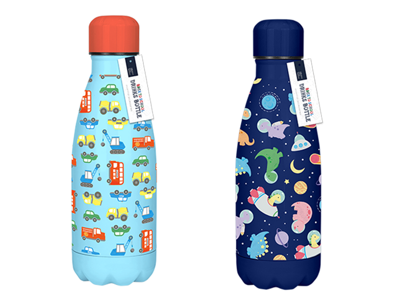 Boys Printed Metal Water Bottle (350ml)