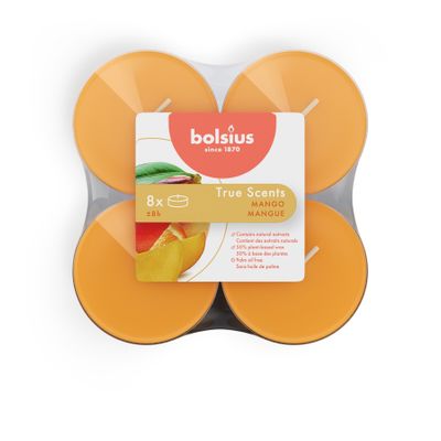 Bolsius - True Scents  Fragrance Clear Cup Maxi Tealights  - 8Hr -Pk 8 - Mango