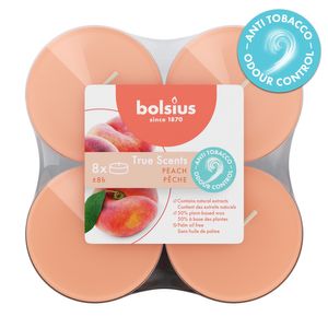 Bolsius - True Scents  Fragrance Clear Cup Maxi Tealights  - 8Hr -Pk 8 - Apple C