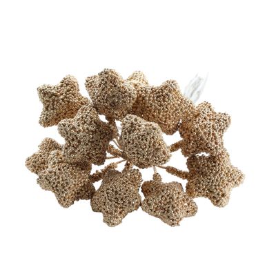 Small Star Bunch - Gold Glitter 12 Heads- 12cm