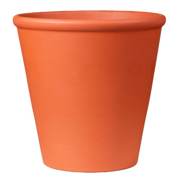 Natural Terracotta Rose Pot (13.86 x 13.86cm)