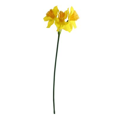 Essential Mini Daffodil x3 Heads - Yellow