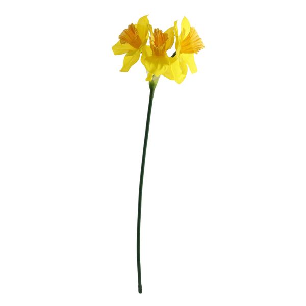 Essential Mini Daffodil x3 Heads - Yellow