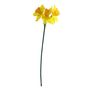 Essential Mini Daffodil x3 Heads - Yellow