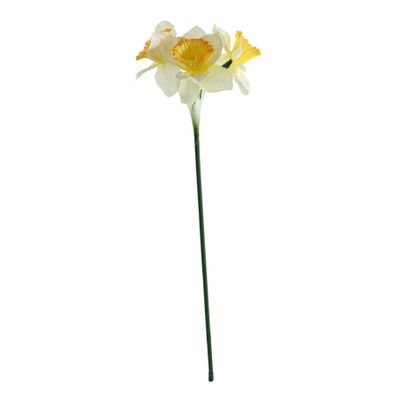 Essential Mini Daffodil x3 Heads - White