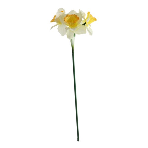 Essential Mini Daffodil x3 Heads - White