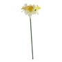 Essential Mini Daffodil x3 Heads - White