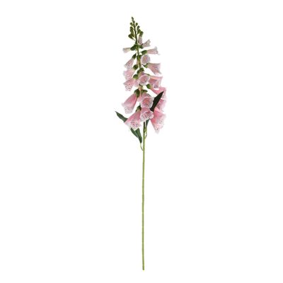 Essential Foxglove - Pink