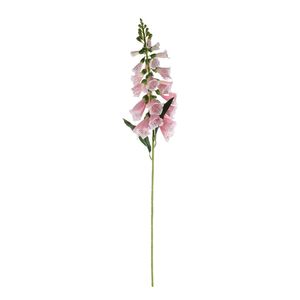 Essential Foxglove - Pink