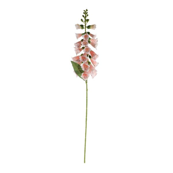 Essential Foxglove - Peach