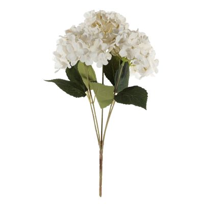 Essential Hydrangea Bush - Cream