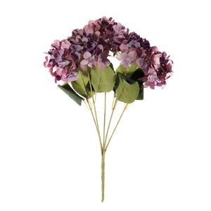 Essential Hydrangea Bush - Purple