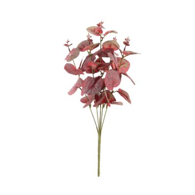 Essential Eucalyptus Bush - Red